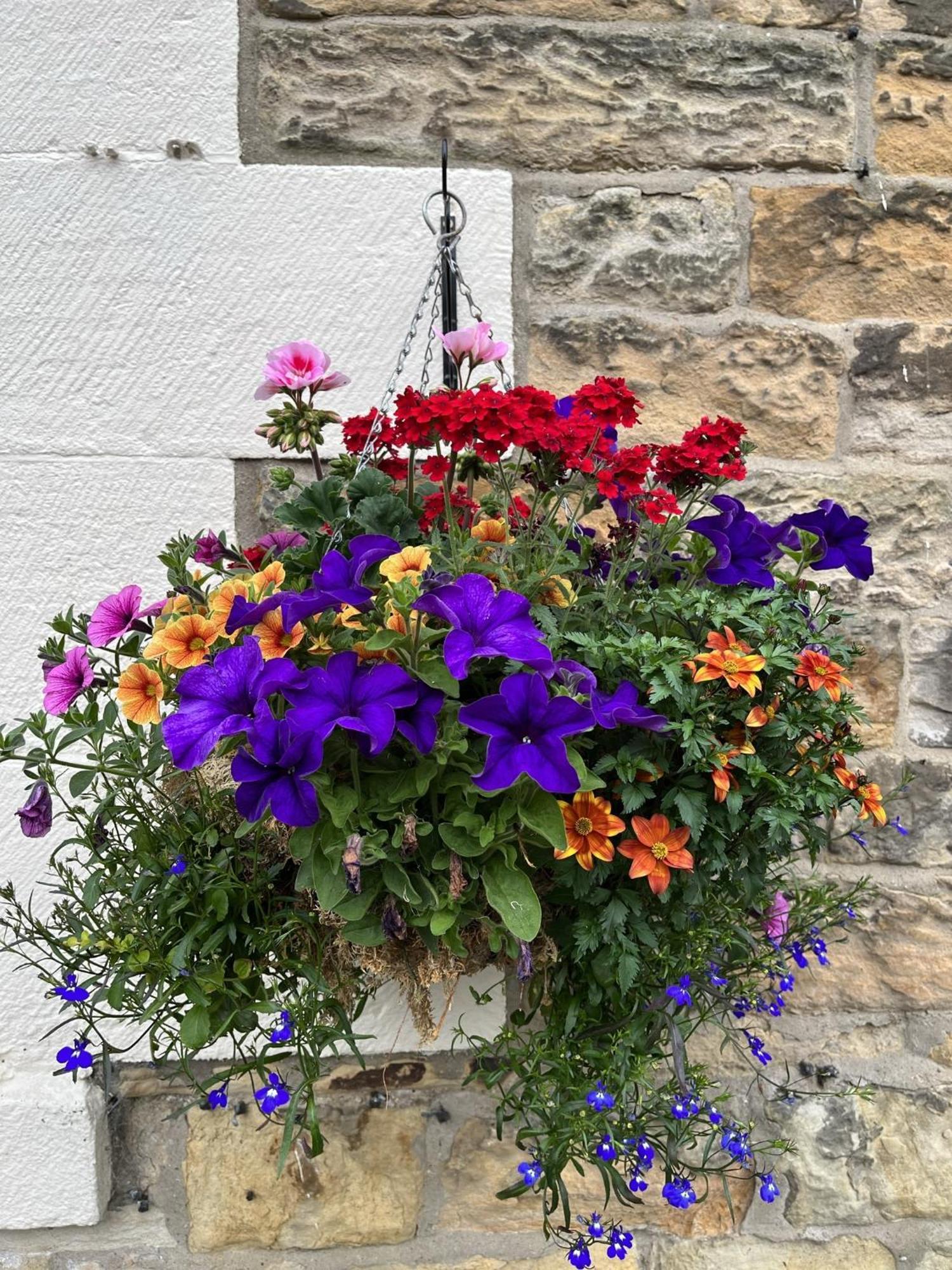 Shaftoe'S Bed And Breakfast Haydon Bridge Esterno foto